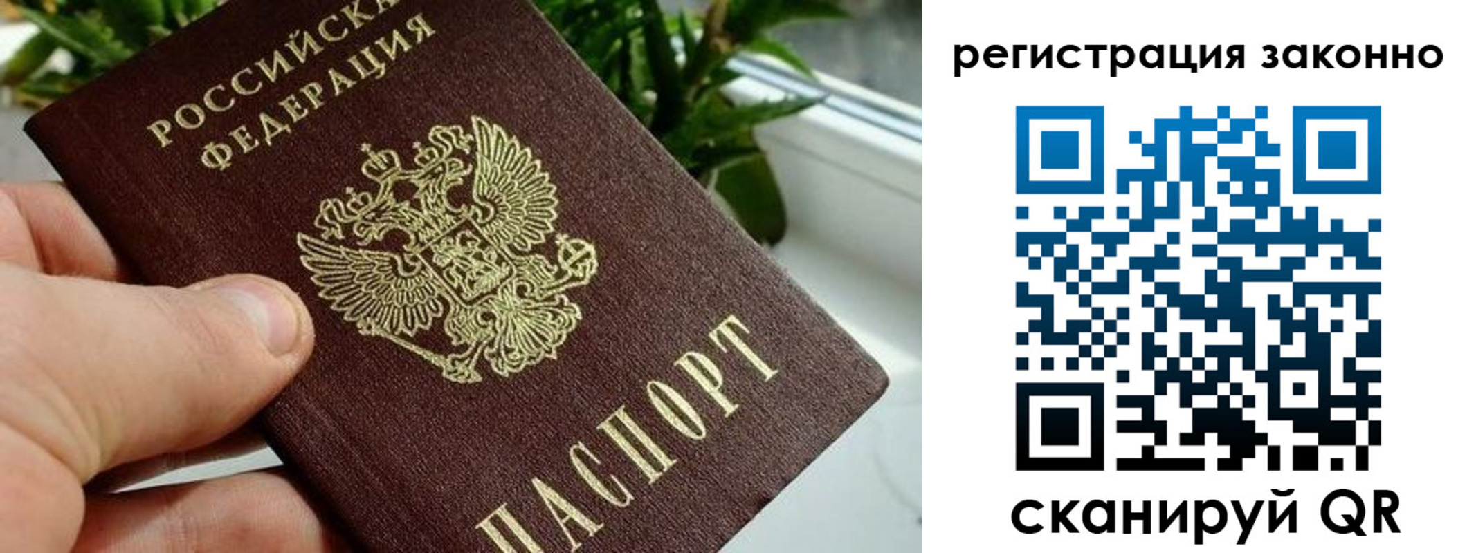 прописка гарантия в Чернушке